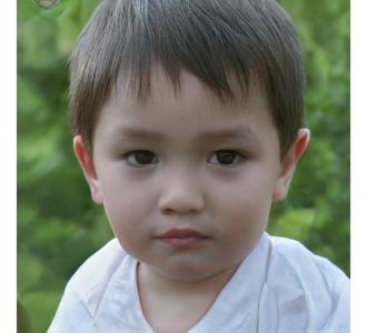 Dr. Kirstin Predovic